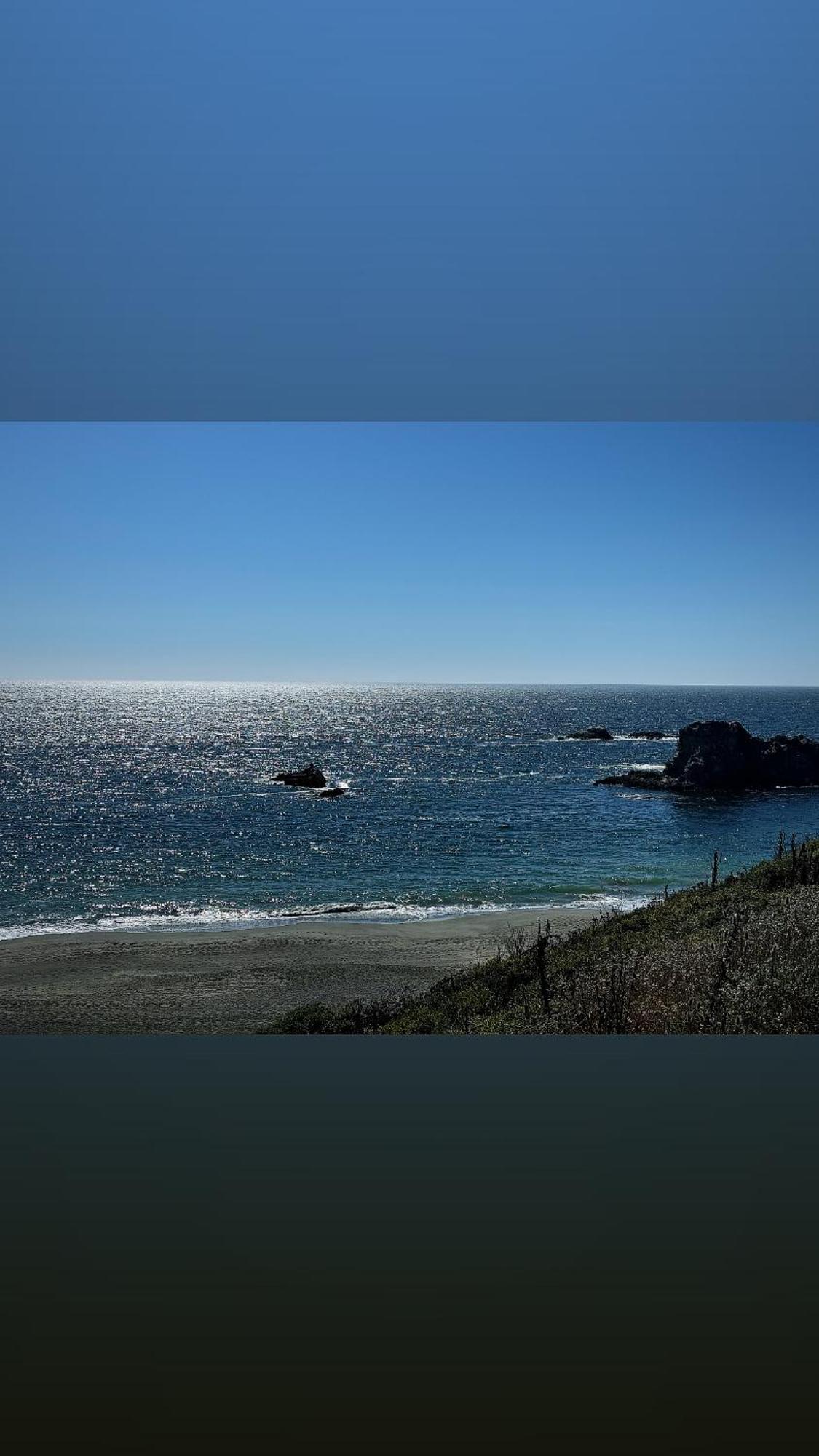 Ocean And Sunset Views - Cliff Side Cottage Bodega Bay Exteriör bild