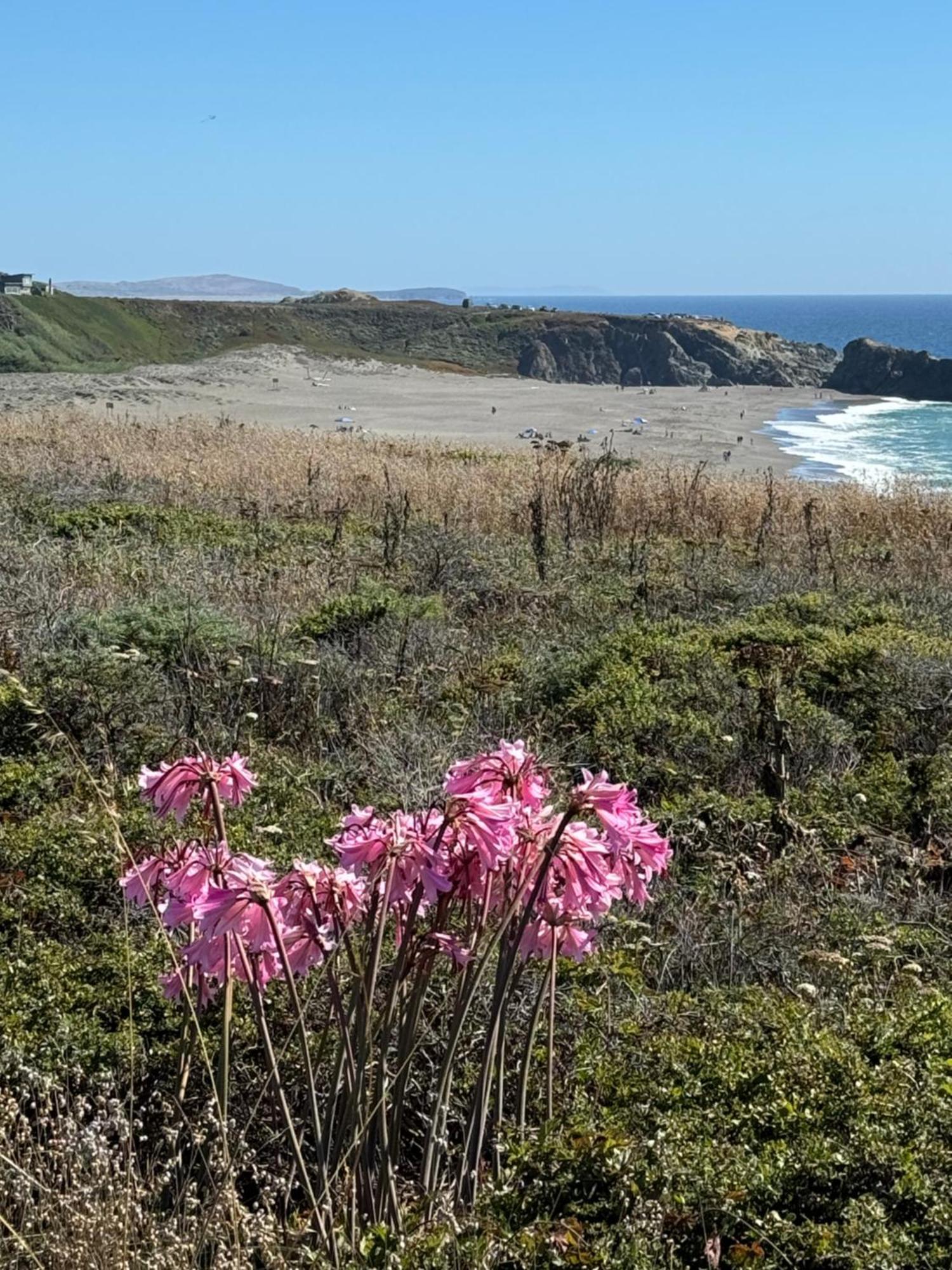 Ocean And Sunset Views - Cliff Side Cottage Bodega Bay Exteriör bild